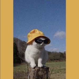 Meet your Posher, Grace